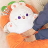 Peluche Chat dans poisson