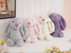 Peluche Lapin personnalisé